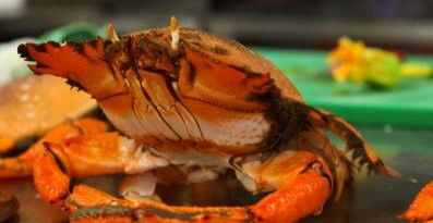 River Cottage Restaurant - Darwin Holiday 0