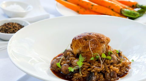 Rococo Noosa - Darwin Holiday 5