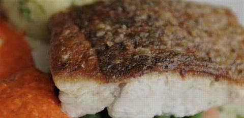 Portabella Licensed Restauraunt - Darwin Holiday 1