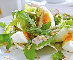 Image Flat QLD Darwin Holiday