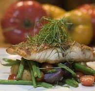 Queens Arms Hotel - Darwin Holiday