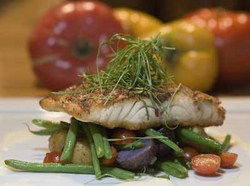 Queens Arms Hotel - Darwin Holiday 0