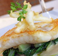 Brighton Metro Hotel