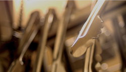 Standard Hotel - Darwin Holiday 1