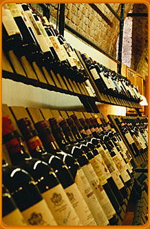 Spurs Saloon - Darwin Holiday 2