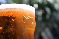 Greenwood Hotel - Darwin Holiday 2