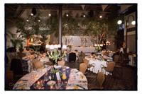 Rigbys Bar & Bistro - Darwin Holiday 3