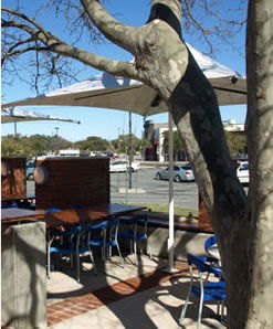 Lakers Tavern - Darwin Holiday 3