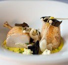 JAM Corner - Darwin Holiday