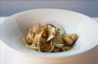 JAM Corner - Darwin Holiday 2