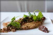 JAM Corner - Darwin Holiday 5