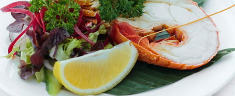 Crustaceans On The Wharf - Darwin Holiday 1