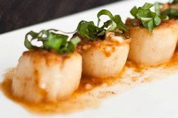 Rubix Bar - Darwin Holiday 0