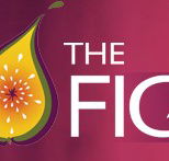 Wild Fig - Darwin Holiday