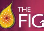 Pickled Fig - Darwin Holiday 0