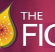 Naked Fig - Darwin Holiday