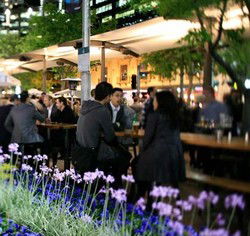 Quay Bar - Darwin Holiday 0