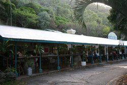 Ellis Beach Bar & Grill - Darwin Holiday 1