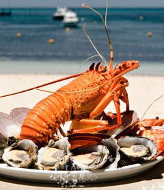 Quokka Arms - Darwin Holiday 1