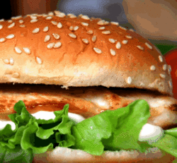 The Nags Head Hotel - Darwin Holiday 2