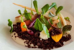 Royal Mail Hotel - Darwin Holiday 2