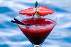 Blue Mango Wine Bar - Darwin Holiday 2