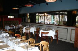 Brown Fox - Darwin Holiday 2