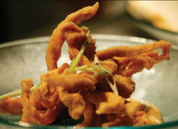 B - Darwin Holiday 3