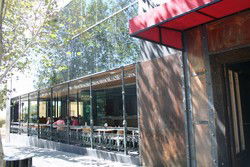 Brown Fox - Darwin Holiday 3