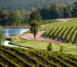 Brookhampton Estate Vineyard - Darwin Holiday 0