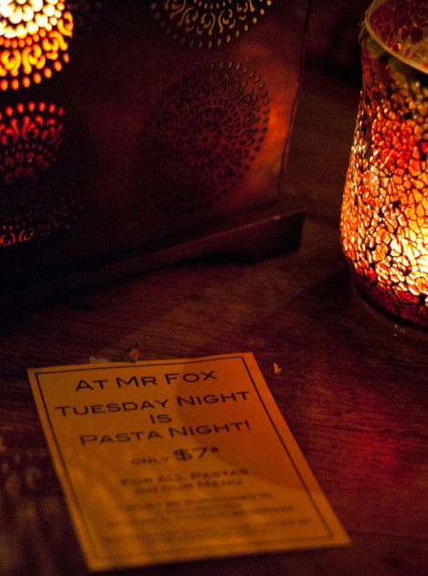 Mr Fox - Darwin Holiday 3