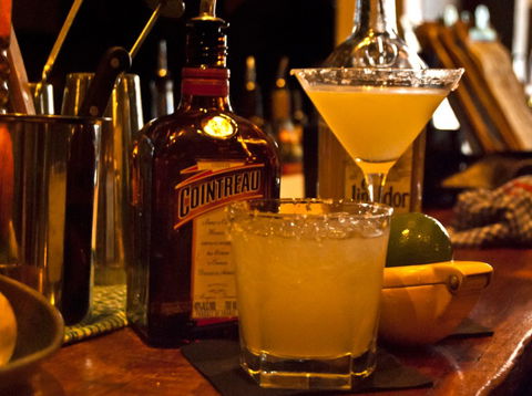 Mr Fox - Darwin Holiday 4