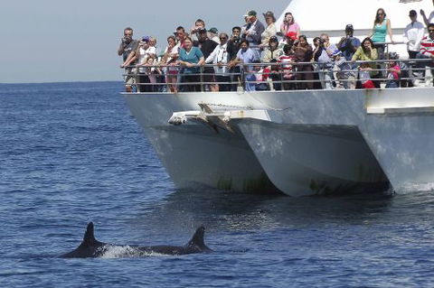 Illawarra Leagues Club - Darwin Holiday 1