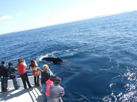 Illawarra Leagues Club - Darwin Holiday 2