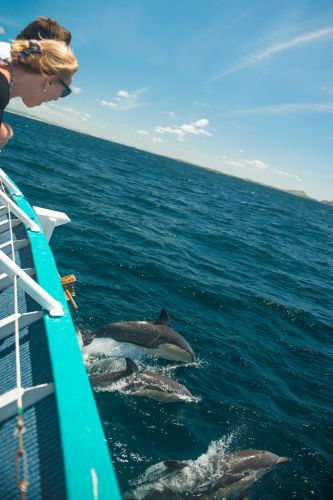 Illawarra Leagues Club - Darwin Holiday 4