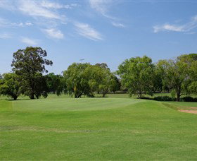 Singleton Golf Club - Darwin Holiday 1