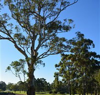 Ryde-Parramatta Golf Club - Darwin Holiday