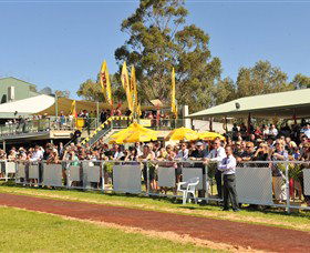 Alice Springs Turf Club - Darwin Holiday 5