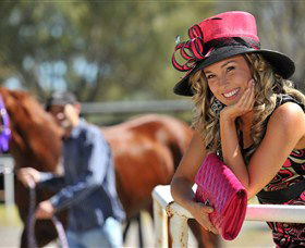 Alice Springs Turf Club - Darwin Holiday 4