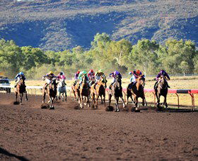 Alice Springs Turf Club - Darwin Holiday 6