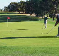 Waikerie Golf Club - Darwin Holiday