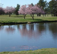 RMC Golf Club - Darwin Holiday