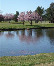 RMC Golf Club - Darwin Holiday 0