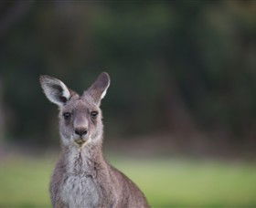 Anglesea Golf Club - Darwin Holiday 6