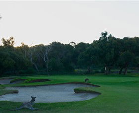 Anglesea Golf Club - Darwin Holiday 8