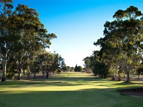 Loxton Golf Club - Darwin Holiday 0