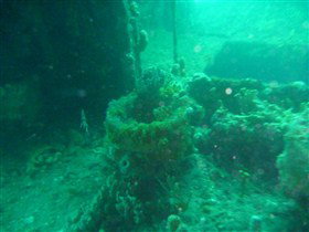 Wallaroo Scuba Club - Darwin Holiday 0