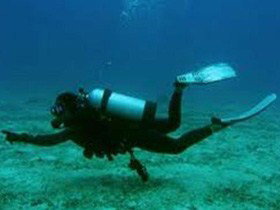 Wallaroo Scuba Club - Darwin Holiday 1