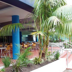 Forster NSW Darwin Holiday