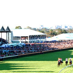 Morphettville SA Darwin Holiday